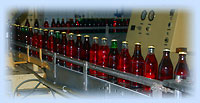 linia produkcyjna
